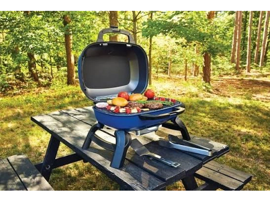 2026 Napoleon Portable Travel Q 240 Lpg Blue alt