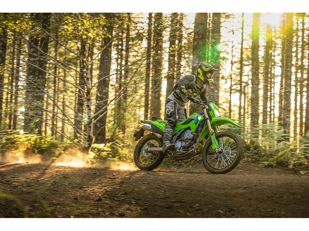 2026 Kawasaki Klx300 Lime Green alt