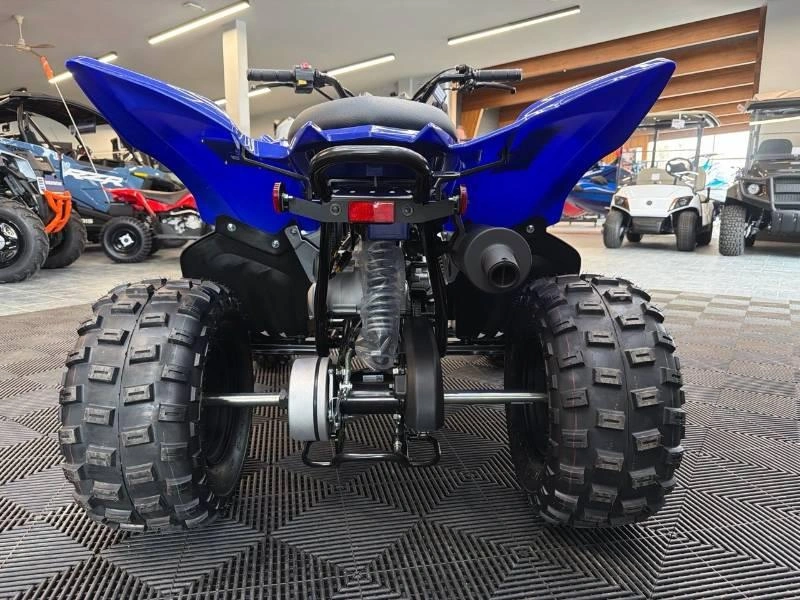 Yamaha Raptor 110 2026 alt