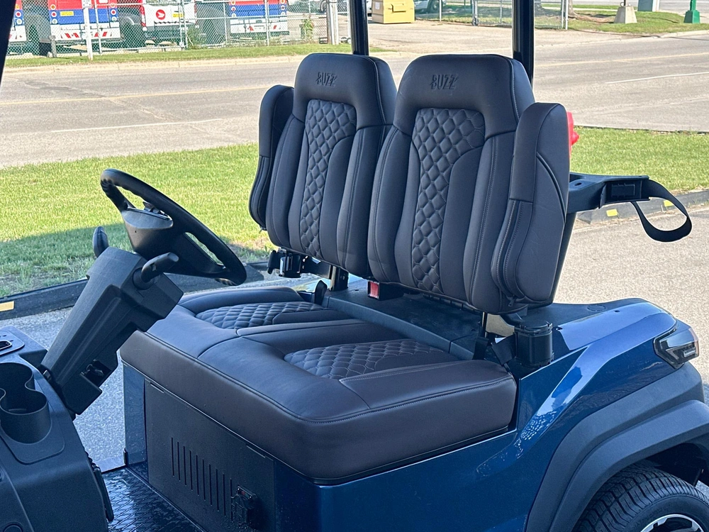 2026 Buzz G2 Standard alt