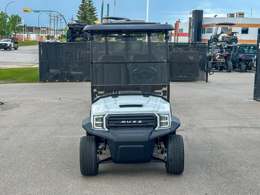 2026 Buzz G2 Standard alt