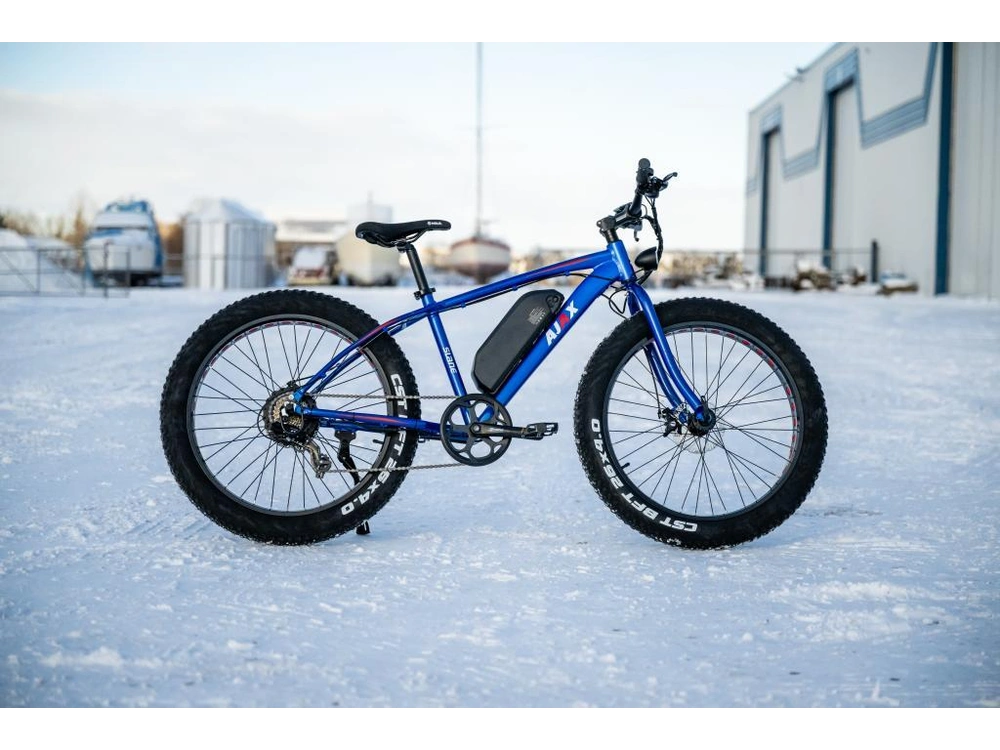 Slane Ajax Fat Tire 2024 alt