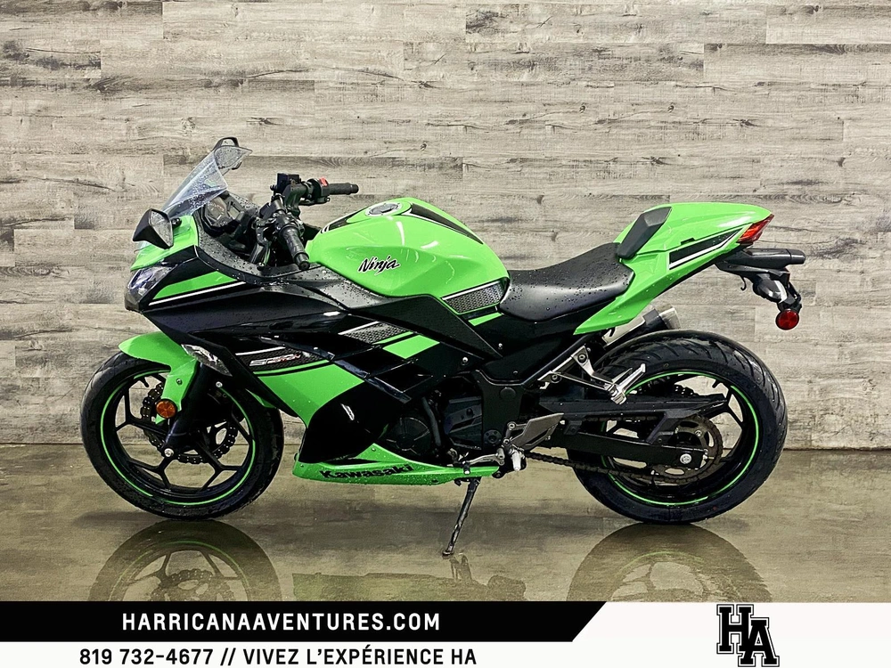 Kawasaki Ninja Ex 300 2013 alt