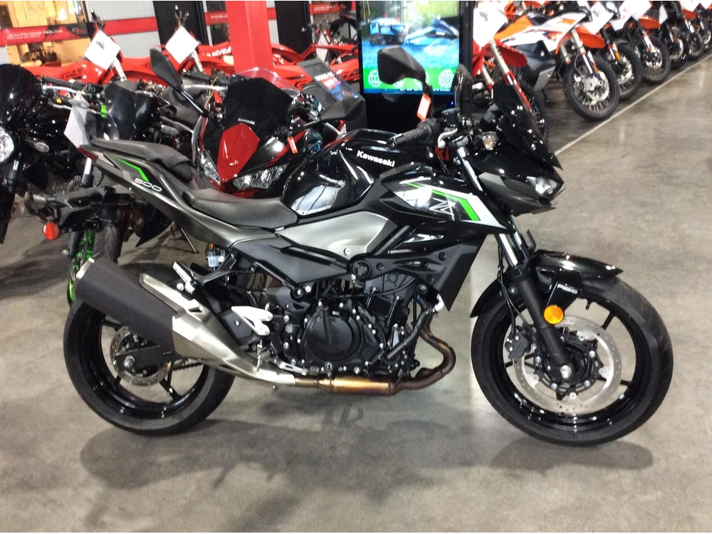 2024 Kawasaki Z500 Abs alt