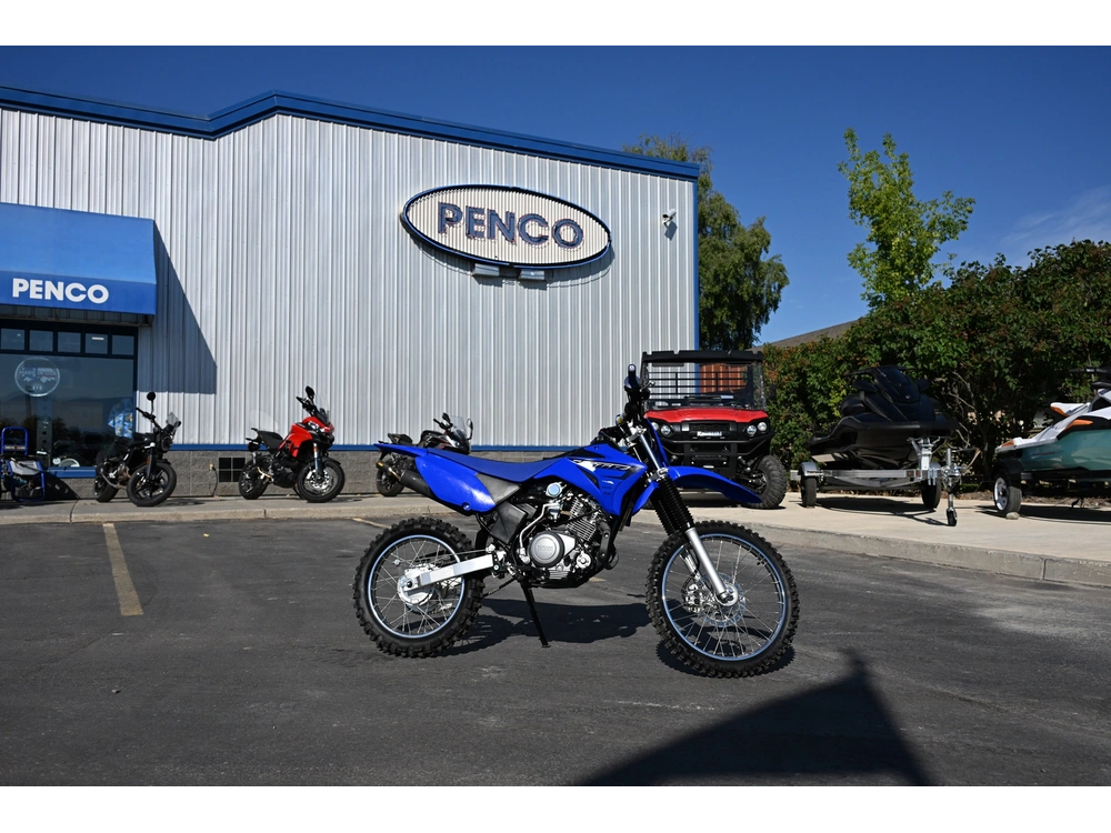 2023 Yamaha Tt-r125le Ca alt