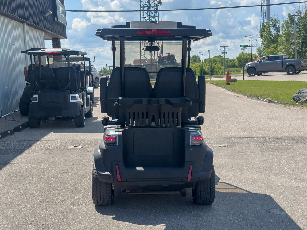 2026 Buzz G2 Standard alt