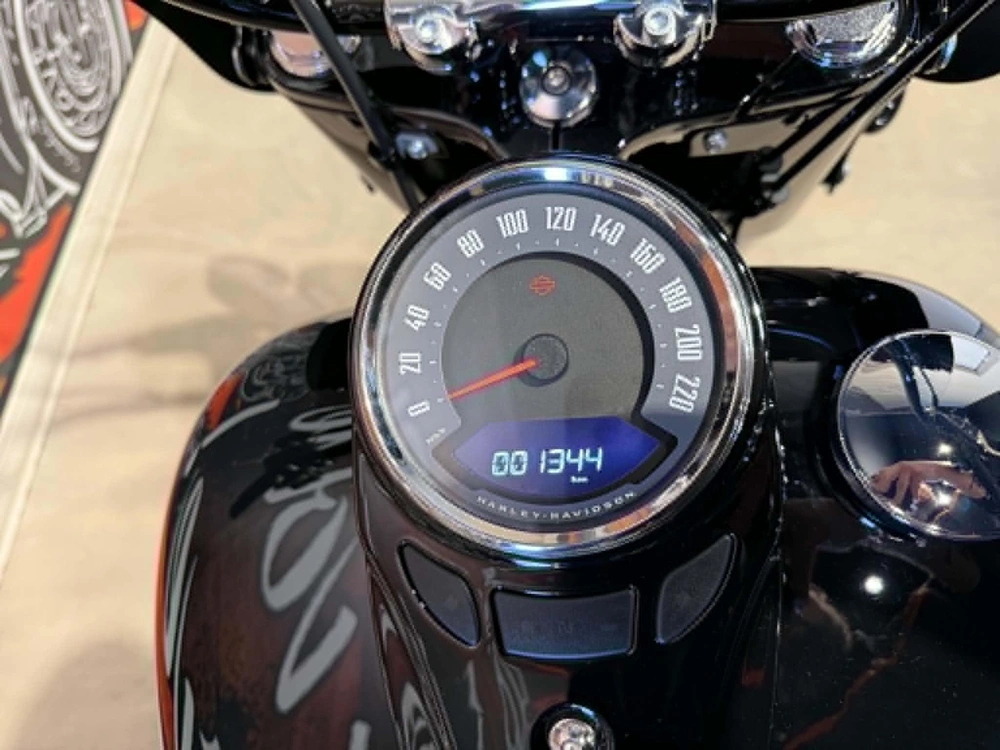 Harley-davidson Heritage Softail 2024 alt