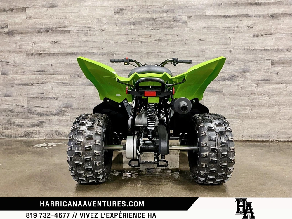 Yamaha Raptor 110 Vert 2026 alt