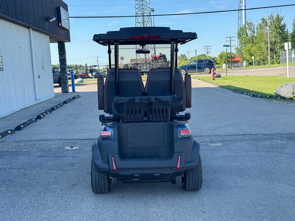 2026 Buzz G2 Standard alt
