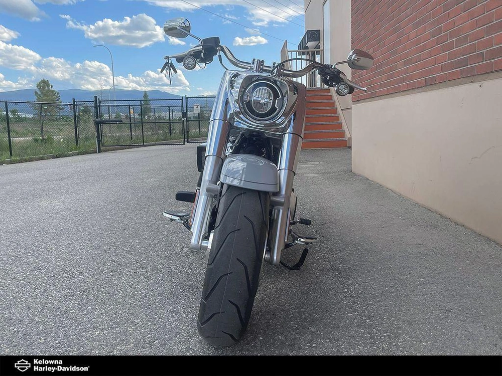 2025 Harley-davidson Flfb - Fat Boy® alt