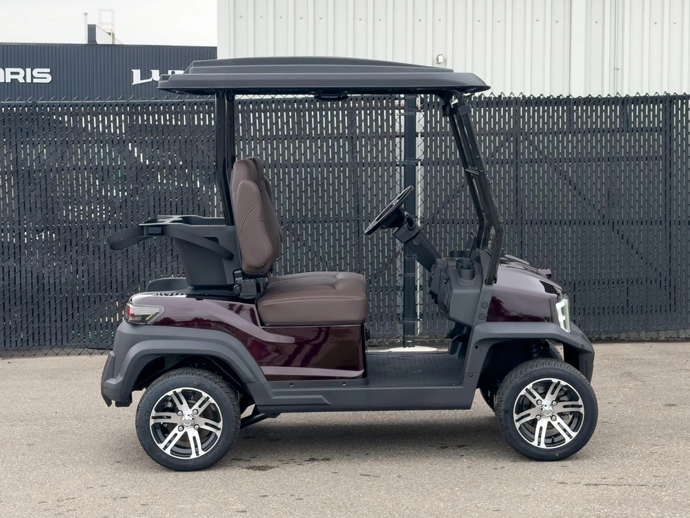 2026 Buzz G2 Standard alt