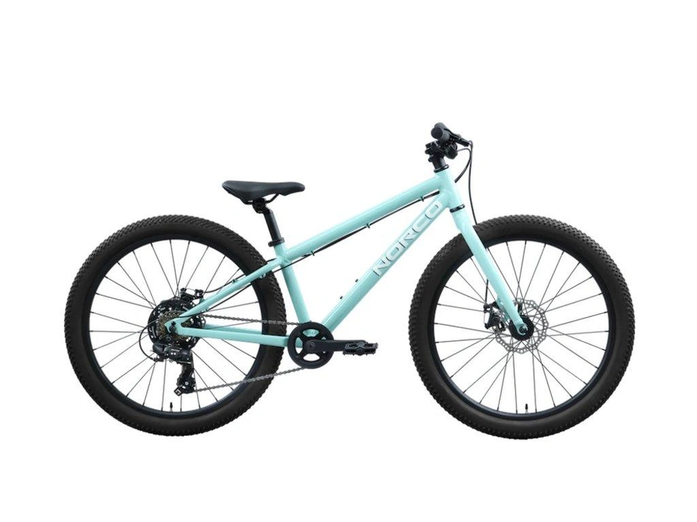 2026 Norco Storm 24 Disc alt