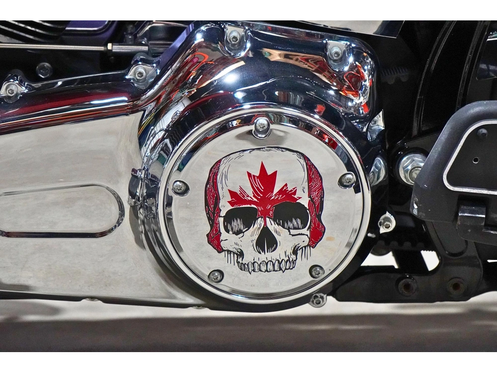 2013 Harley-davidson Flstc Heritage Softail alt