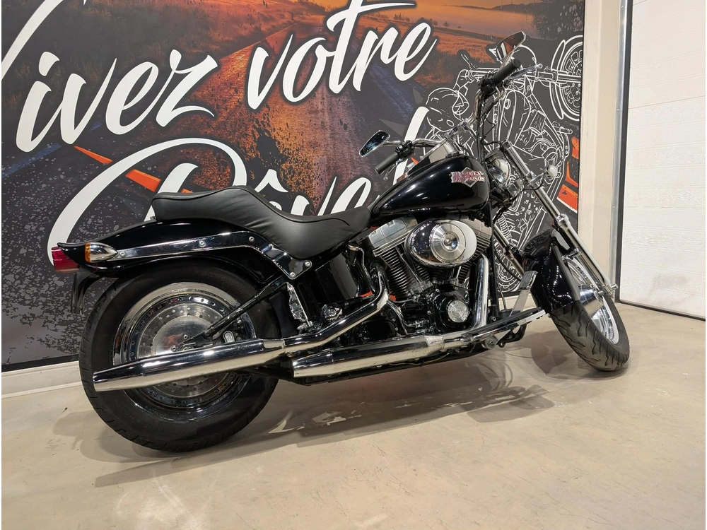 Harley-davidson Fxsti 2006 alt