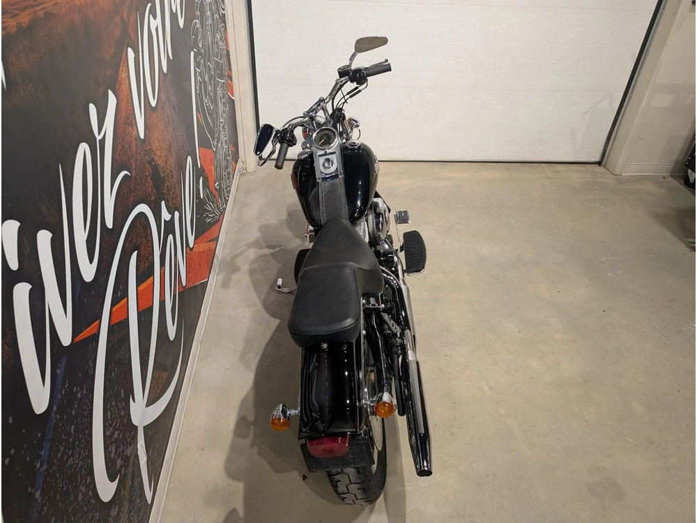 Harley-davidson Fxsti 2006 alt