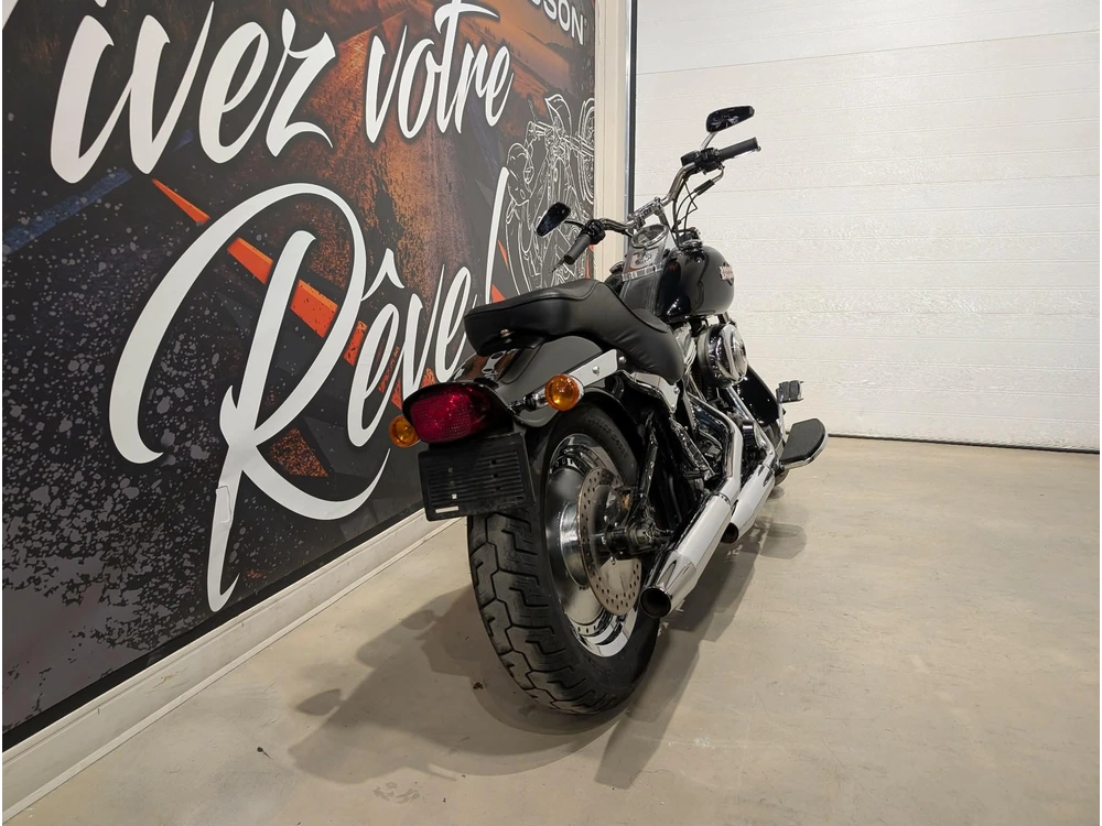 Harley-davidson Fxsti 2006 alt