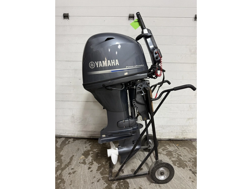 2024 Yamaha F50lhb alt