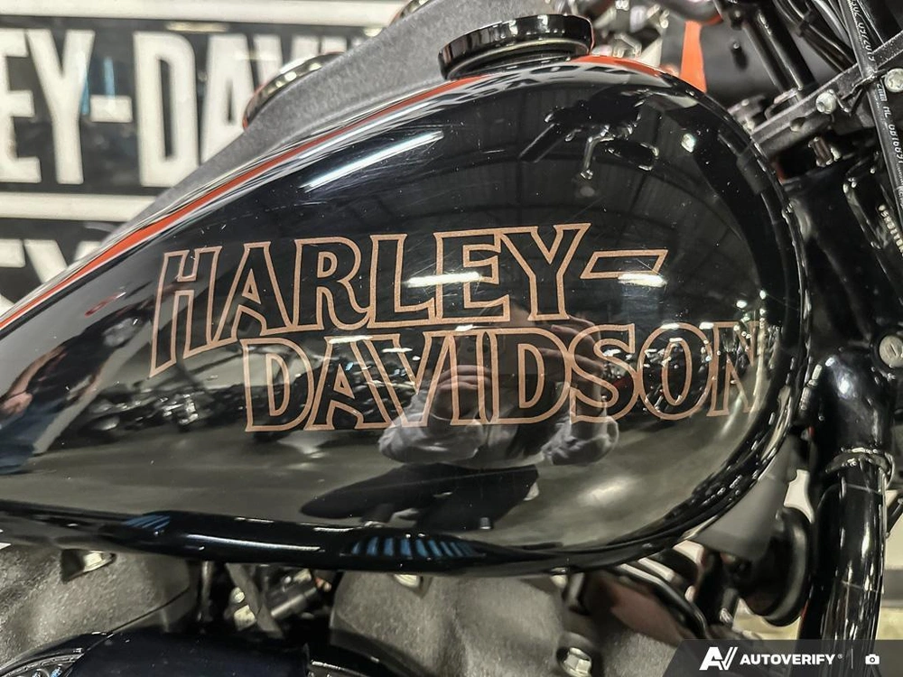 2020 Harley-davidson Fxlrs - Low Rider® S alt