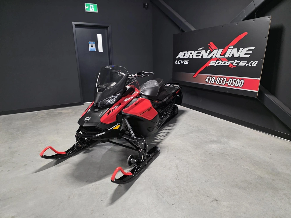 Ski-doo Renegade Enduro 900 Ace 2019 alt