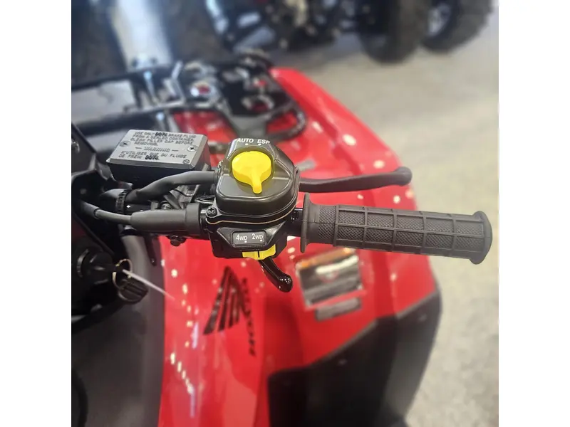 Honda FOURTRAX RUBICON 700 4x4 AUTOMATIC 2026