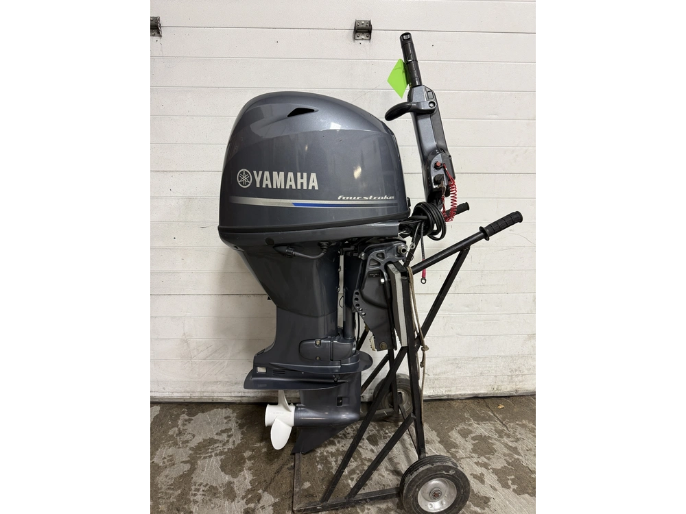 2024 Yamaha F50lhb alt