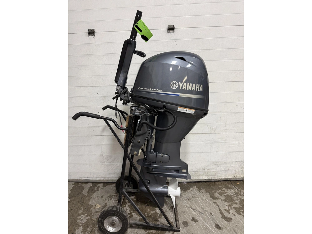 2024 Yamaha F50lhb alt