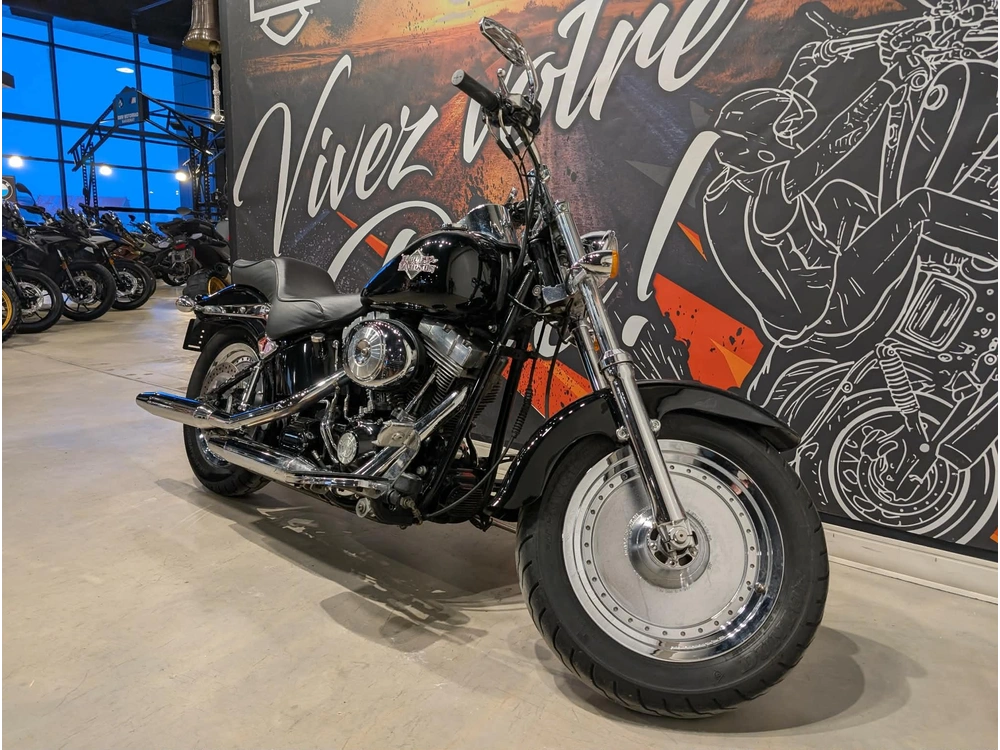 Harley-davidson Fxsti 2006 alt
