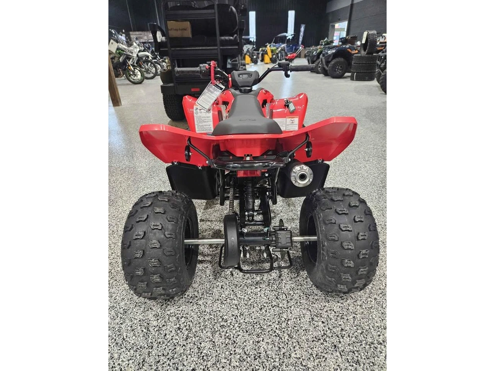 Cfmoto Cforce 110 Classic 2026 alt