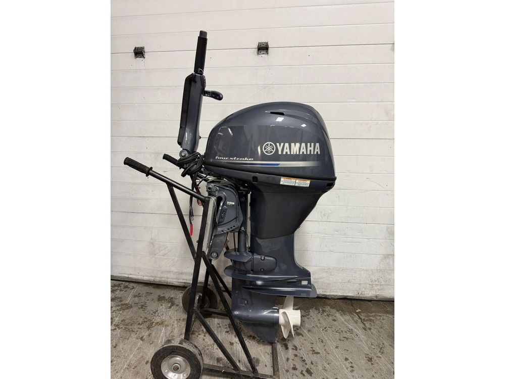 2024 Yamaha F40leha alt