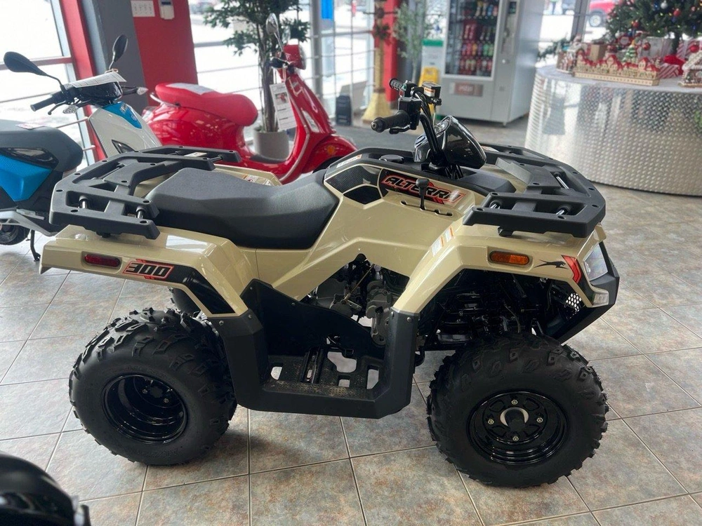 Arctic Cat Alterra 300 2024 alt