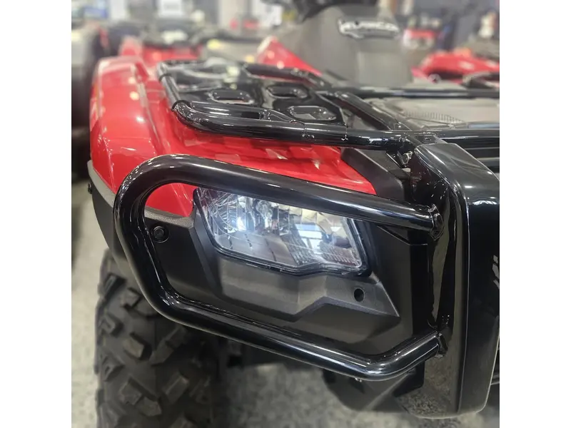 Honda FOURTRAX RUBICON 700 4x4 AUTOMATIC 2026