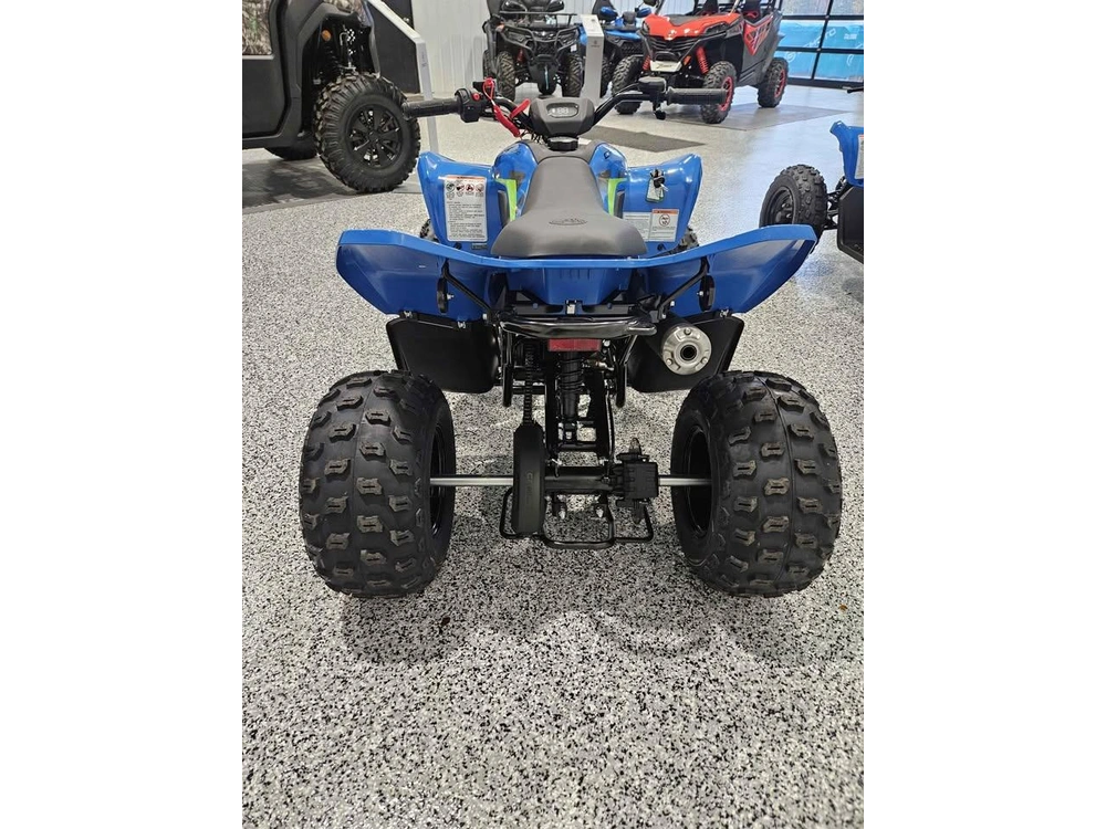 Cfmoto Cforce 110 Classic 2026 alt