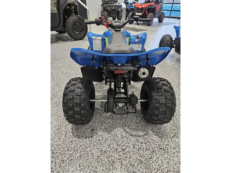CFMOTO CFORCE 110 CLASSIC 2026