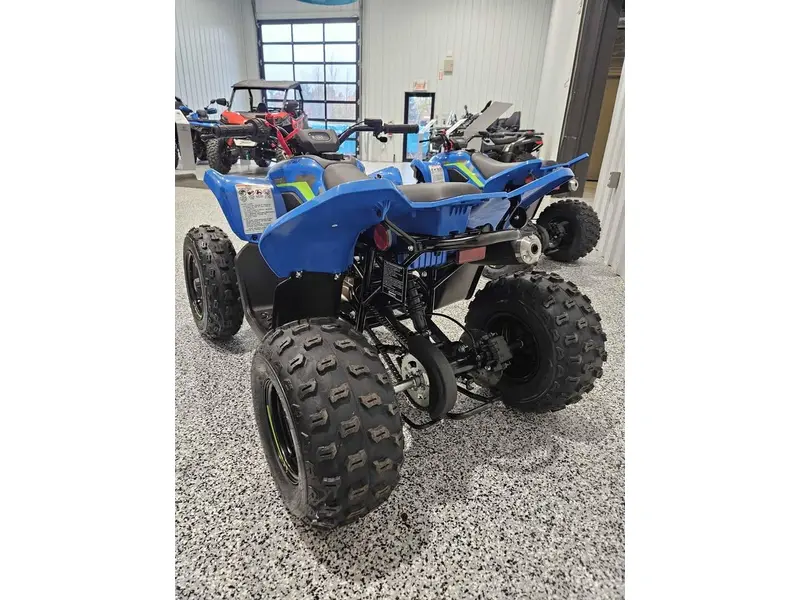 CFMOTO CFORCE 110 CLASSIC 2026