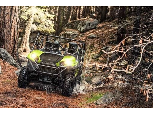 2025 Kawasaki Teryx 4 alt