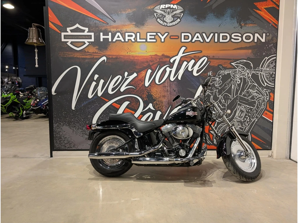 Harley-davidson Fxsti 2006 alt