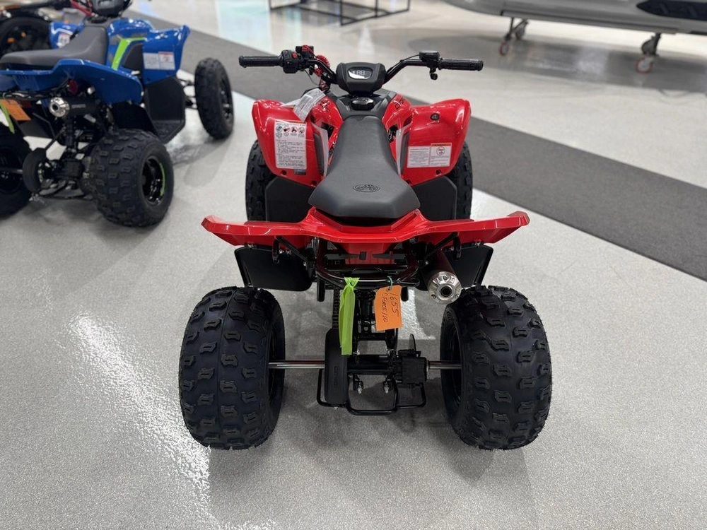 2025 Cfmoto Cforce 110 Classic alt