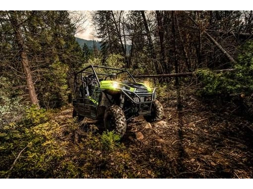 2025 Kawasaki Teryx 4 alt