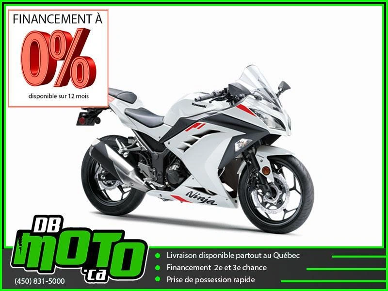 Kawasaki Ninja 300 2026 alt