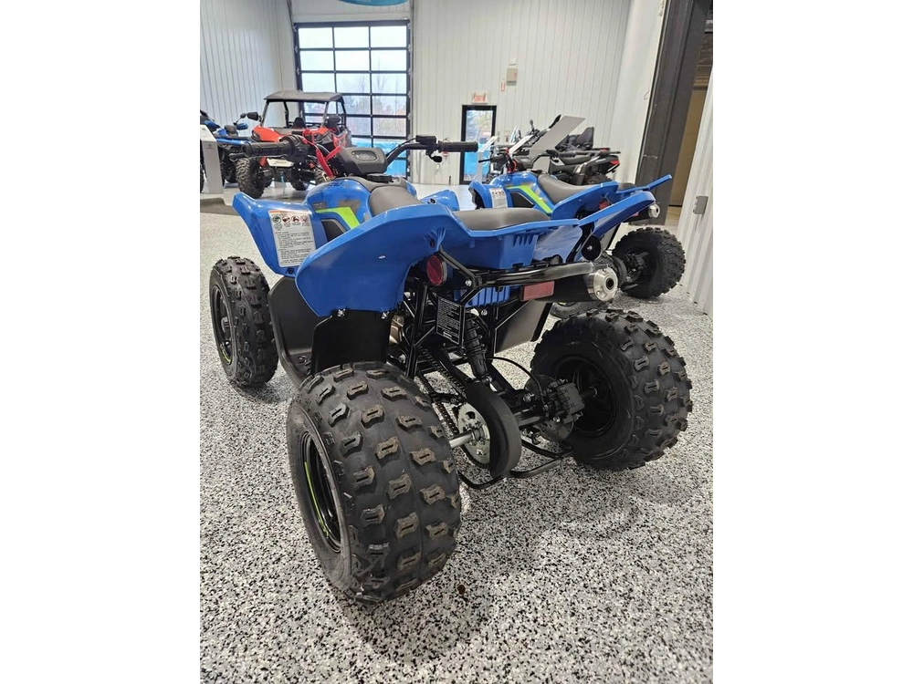 Cfmoto Cforce 110 Classic 2026 alt