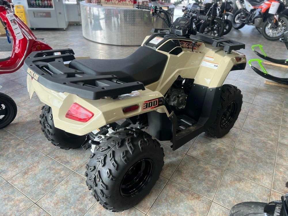 Arctic Cat Alterra 300 2024 alt