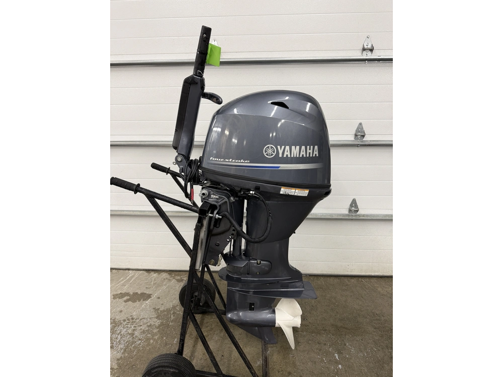 2024 Yamaha F70la alt