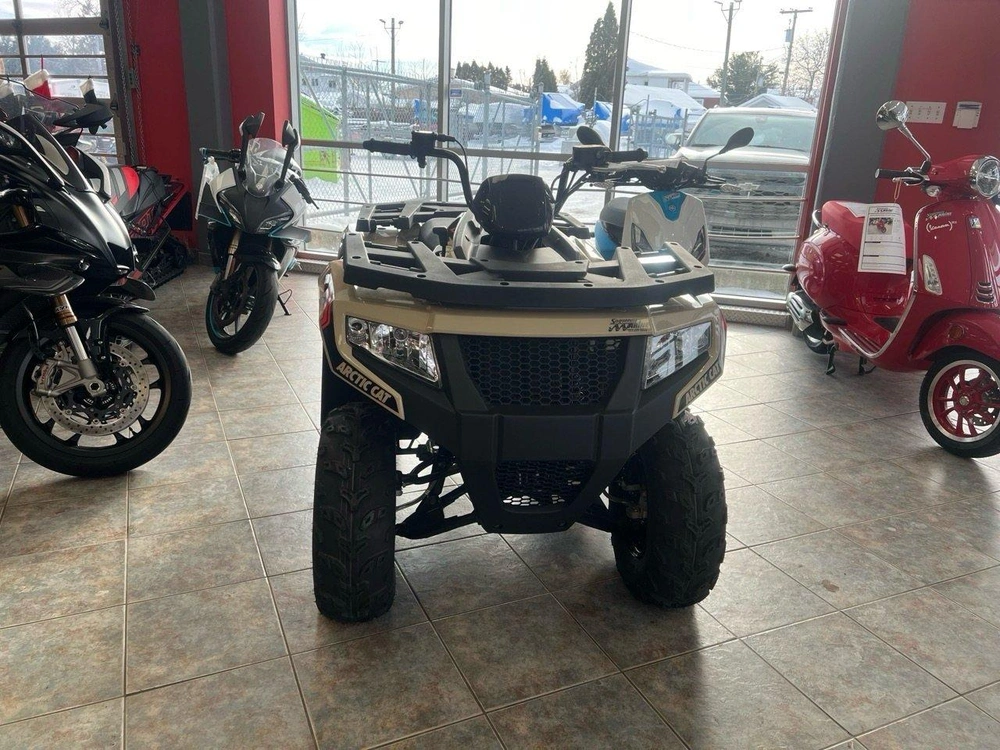 Arctic Cat Alterra 300 2024 alt