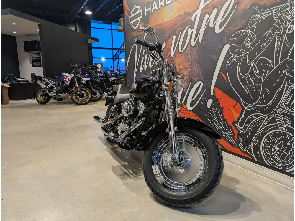 Harley-davidson Fxsti 2006 alt