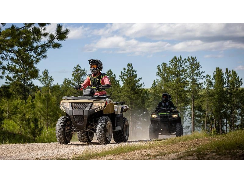 Arctic Cat Alterra 300 2024 alt