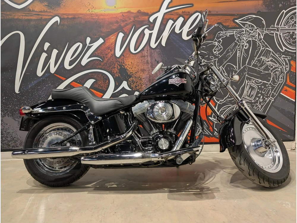 Harley-davidson Fxsti 2006 alt