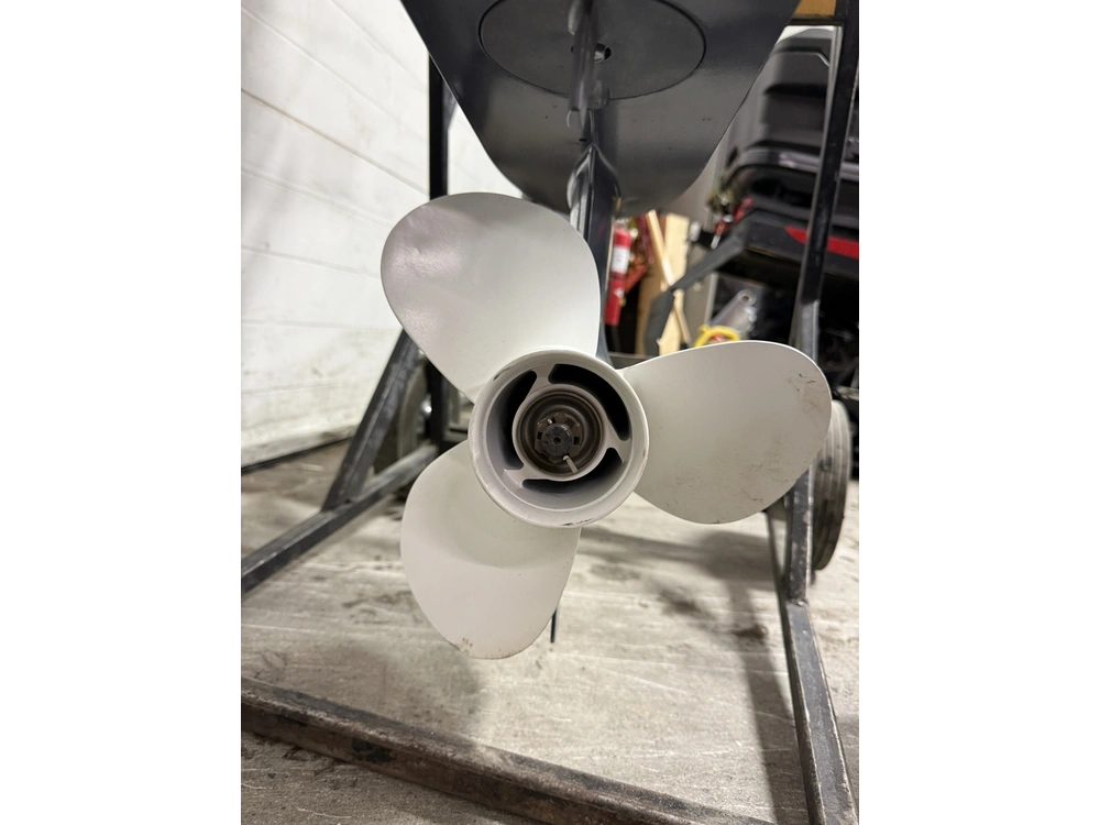 2024 Yamaha F20smhb alt