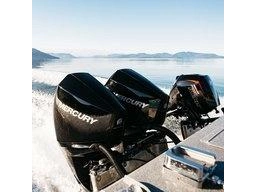 2023 Mercury 25 Elpt Pk Pro Kicker alt