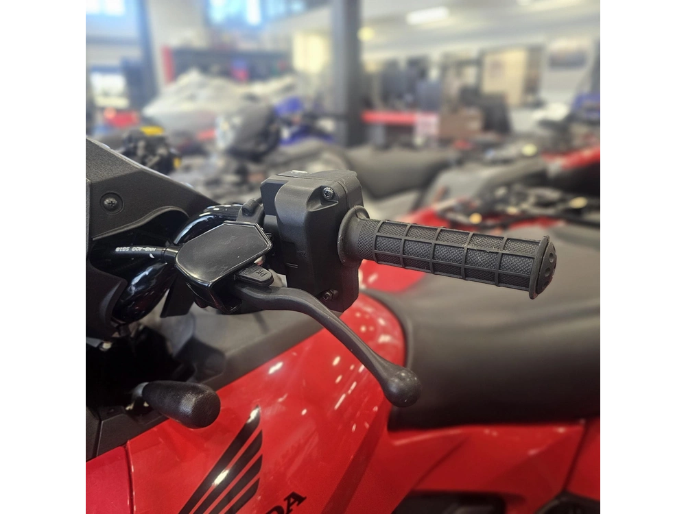 2026 Honda Fourtrax Rubicon 700 4x4 Automatic alt