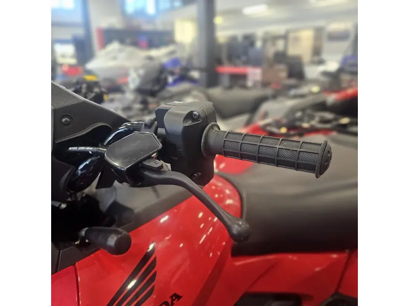 Honda FOURTRAX RUBICON 700 4x4 AUTOMATIC 2026